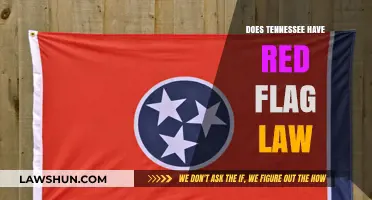 Exploring Tennessee's Stance on Red Flag Laws: A Comprehensive Overview