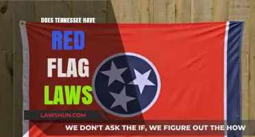 Exploring Tennessee's Stance on Red Flag Laws: A Comprehensive Overview