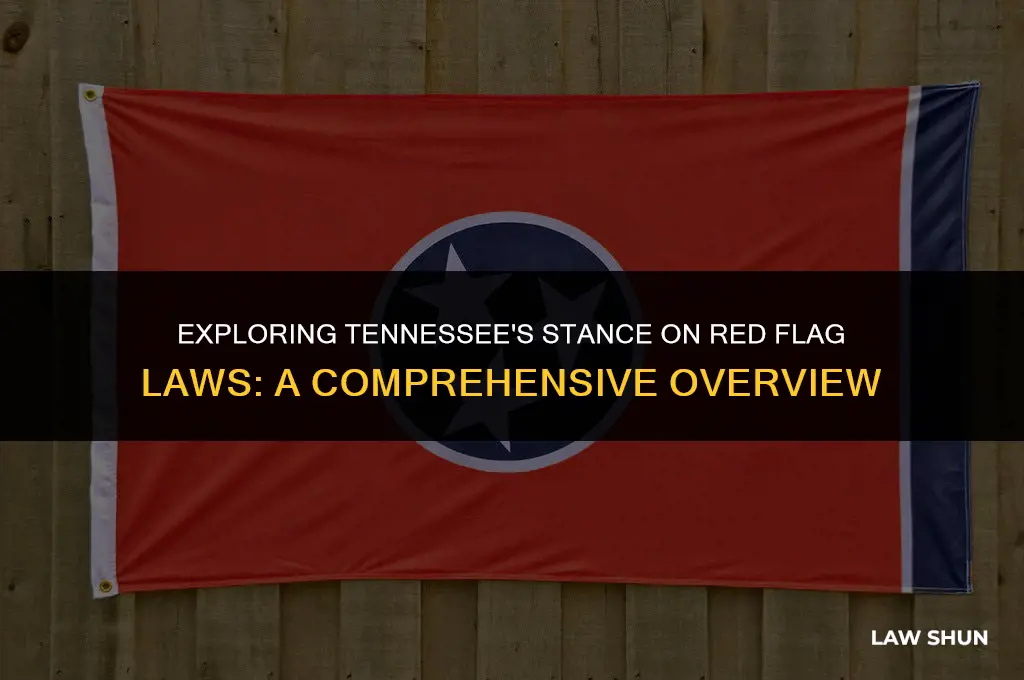 does tennessee have red flag laws