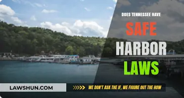 Understanding Tennessee's Safe Harbor Laws: Protection and Compliance