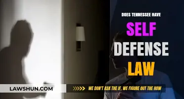 Understanding Tennessee's Self-Defense Laws: A Comprehensive Guide