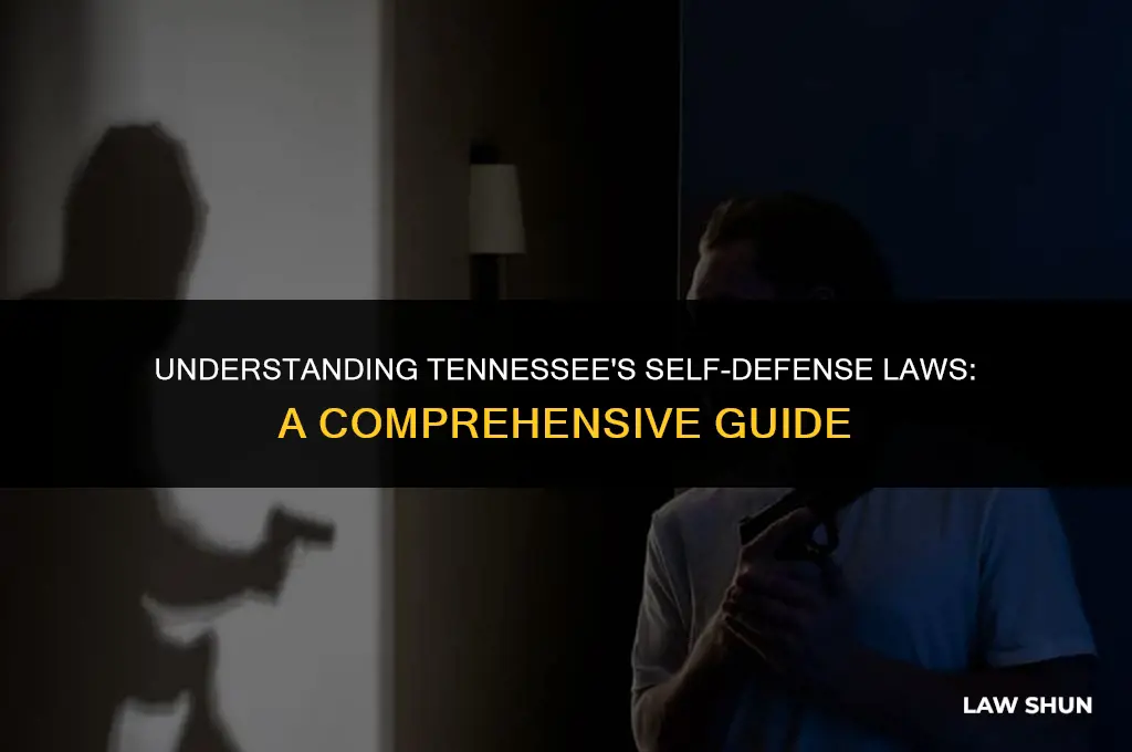 does tennessee have self defense law