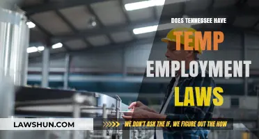 Understanding Tennessee's Temporary Employment Laws: A Comprehensive Guide