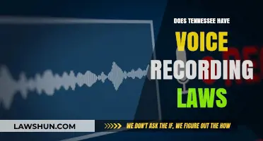 Understanding Tennessee's Voice Recording Laws: A Comprehensive Guide