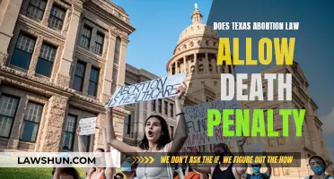 Texas Abortion Law: Death Penalty Clause Explained