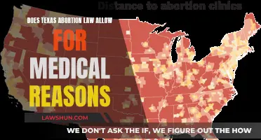 Texas Abortion Law: Medical Reasons and Exemptions?