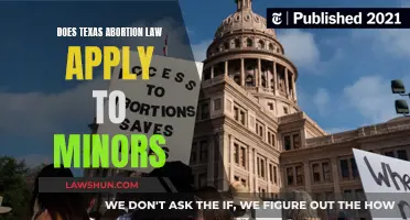 Texas Abortion Law: Minors' Rights and Exemptions