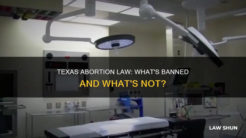 does texas abortion law ban all abortions