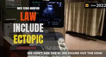 Texas Abortion Law: Does It Protect Women With Ectopic Pregnancies?