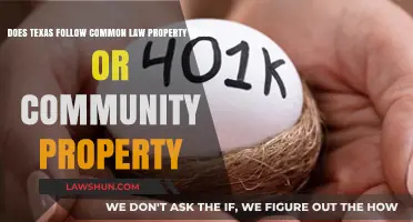 Understanding Texas Property Laws: Community or Common?