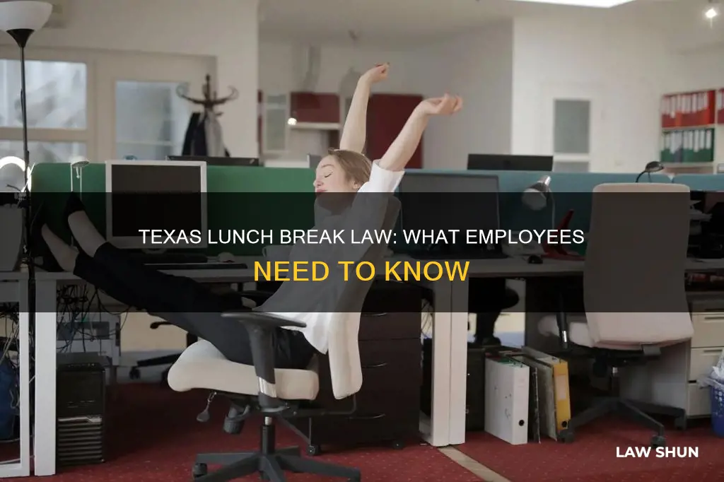 does texas have a lunch break law