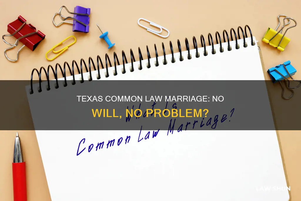 does texas recognize common law marriage in no wills