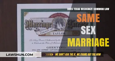 Texas Recognizes Common-Law Same-Sex Marriage