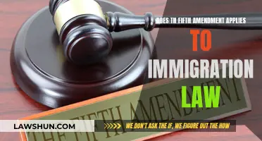 Immigration Law: Fifth Amendment Rights Explained