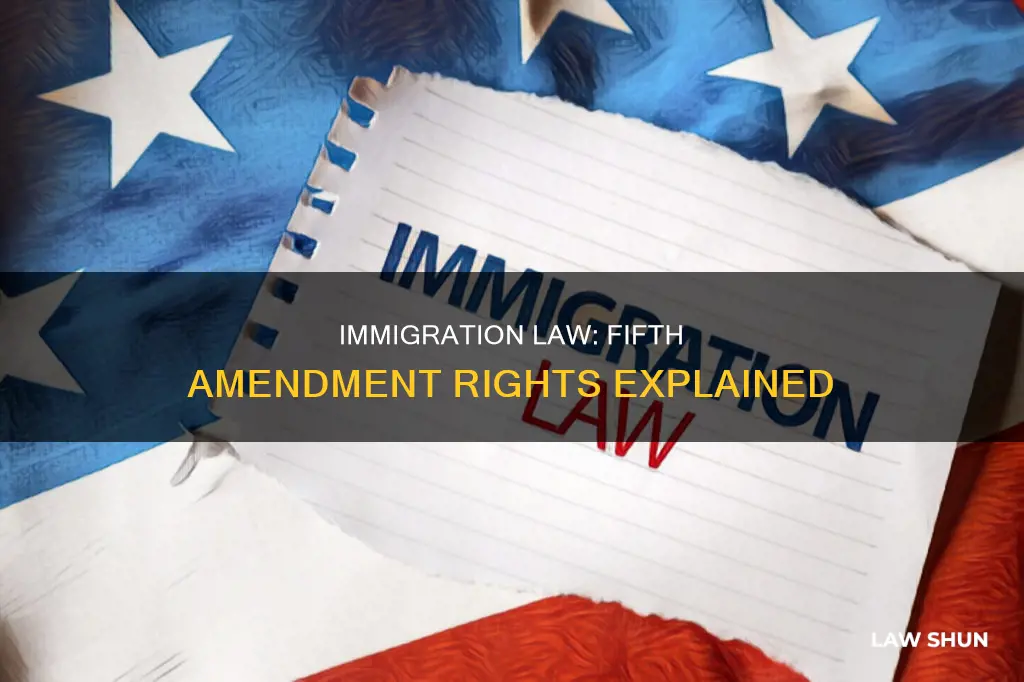 does th fifth amendment applies to immigration law