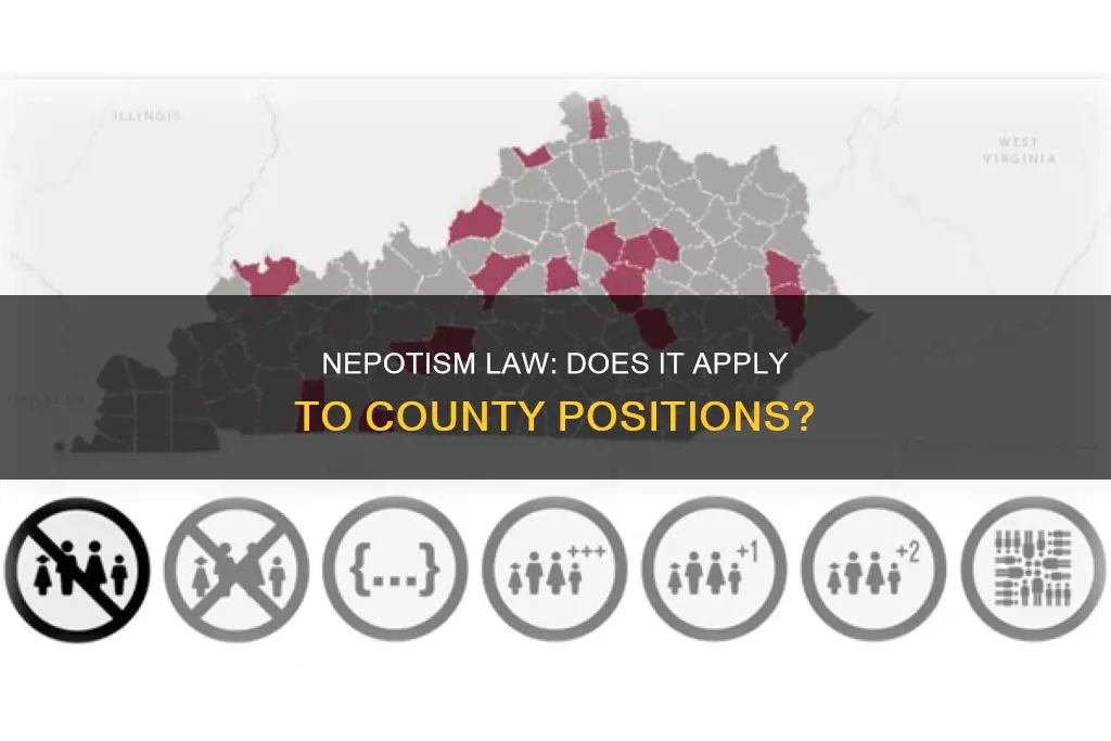 does the 1967 nepotisim law apply to county positions