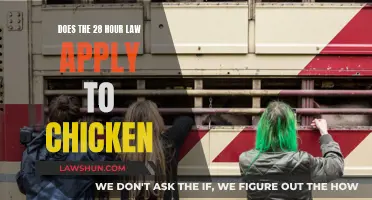 Understanding the 28-Hour Law: Does It Affect Chicken?