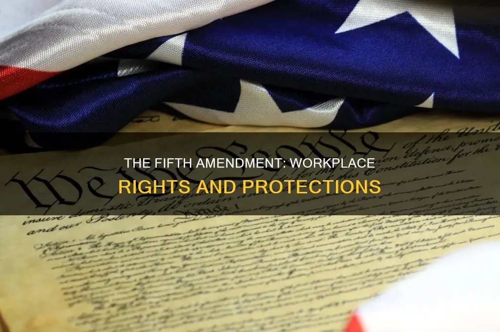 does the 5th amendment apply to work law