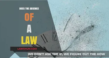 Exploring the Implications of a Legal Vacuum: Does the Absence of a Law..