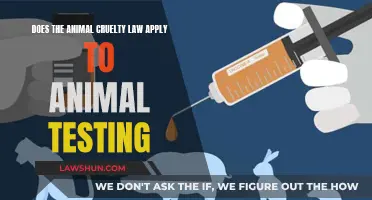 Animal Cruelty Law: Exempting Animal Testing?