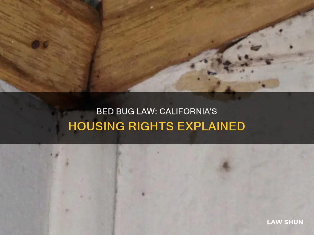 does the bed bug law apply to houses in california