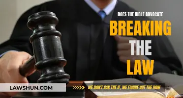 The Bible and Lawbreaking: When to Obey the State?