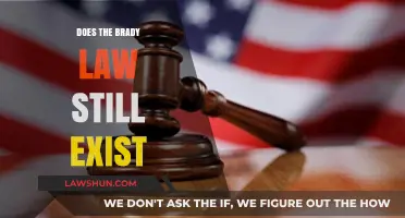 Exploring the Current Status of the Brady Law: A Comprehensive Update