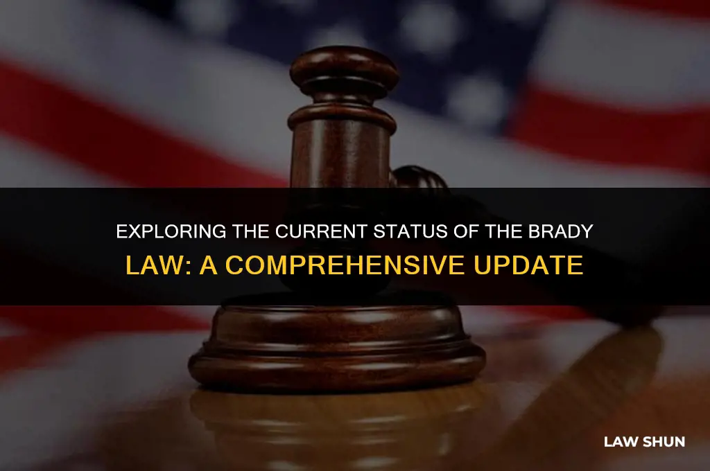 does the brady law still exist