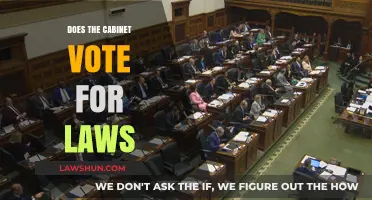 Does the Cabinet Vote for Laws? Understanding the Legislative Process