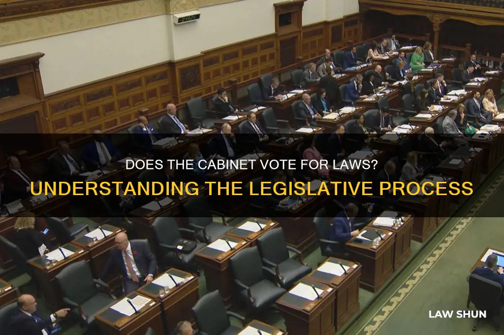 does the cabinet vote for laws