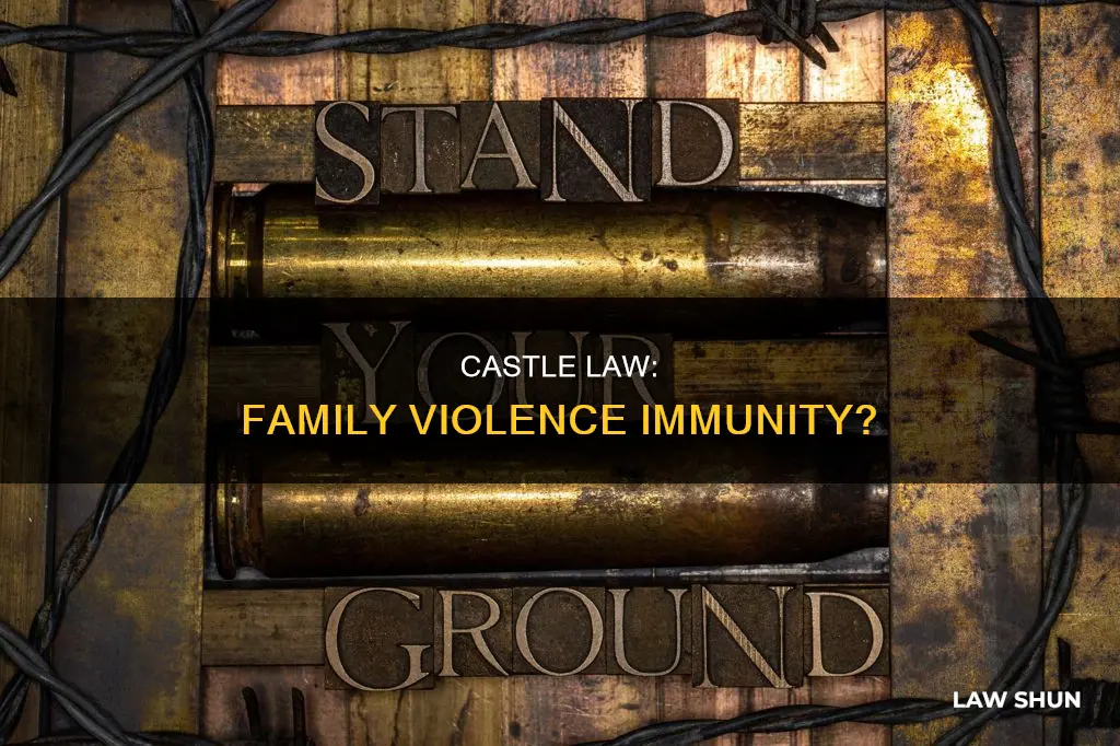 does the castle law apply to family violence