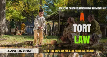 Exploring Cherokee Nation's Legal Framework: Tort Law Elements Examined