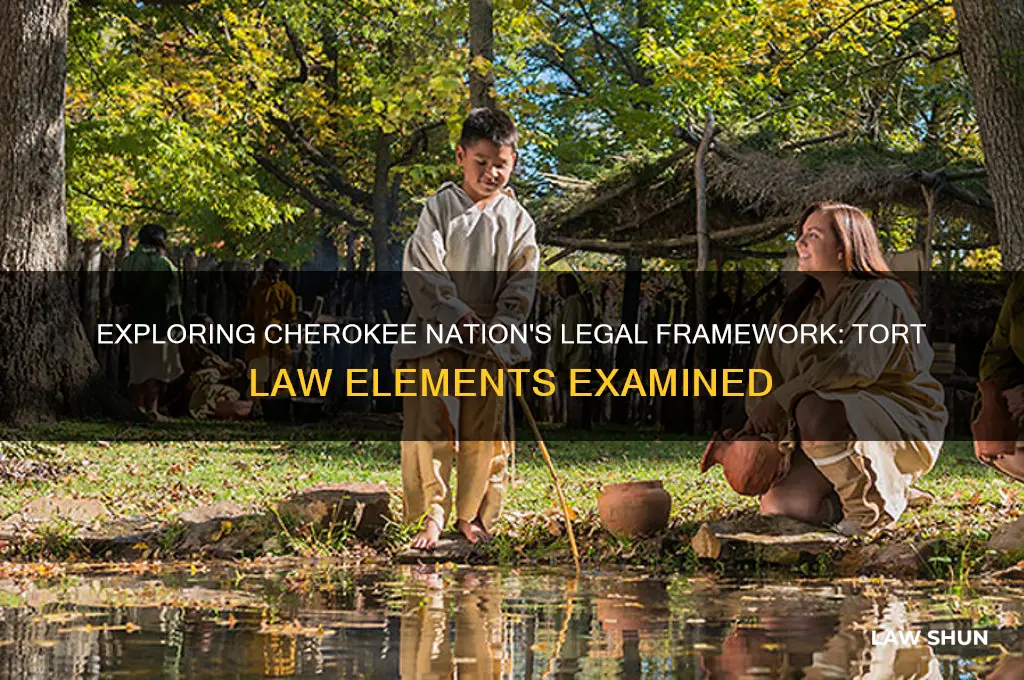 does the chrokee nation have elements of a tort law