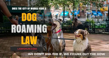 Mobile's Dog Roaming Laws: What Pet Owners Need to Know