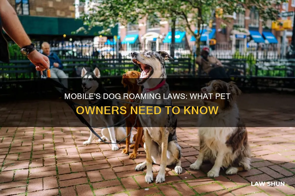 does the city of mobile have a dog roaming law