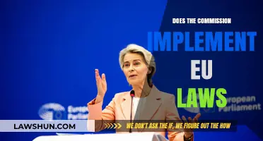Understanding the EU Commission's Role in Implementing European Laws