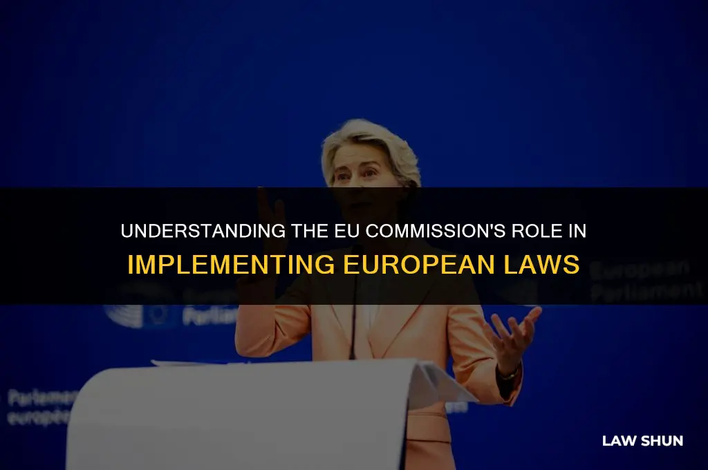 does the commission implement eu laws
