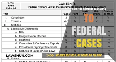 Common Law and Federal Cases: How Are They Linked?