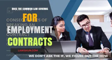 Understanding Employment Contracts: Common Law Basics
