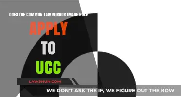 Common Law Mirror Image Rule: UCC's Take