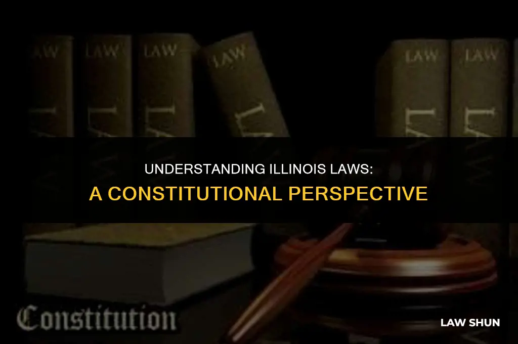 does the consistuon define illinois laws