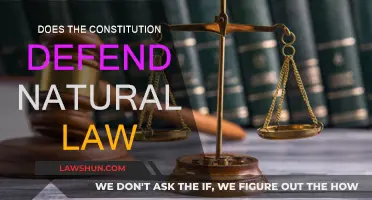 Natural Law and the Constitution: A Defense?