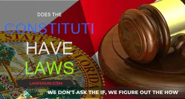 What Are the Laws of the Constitution?