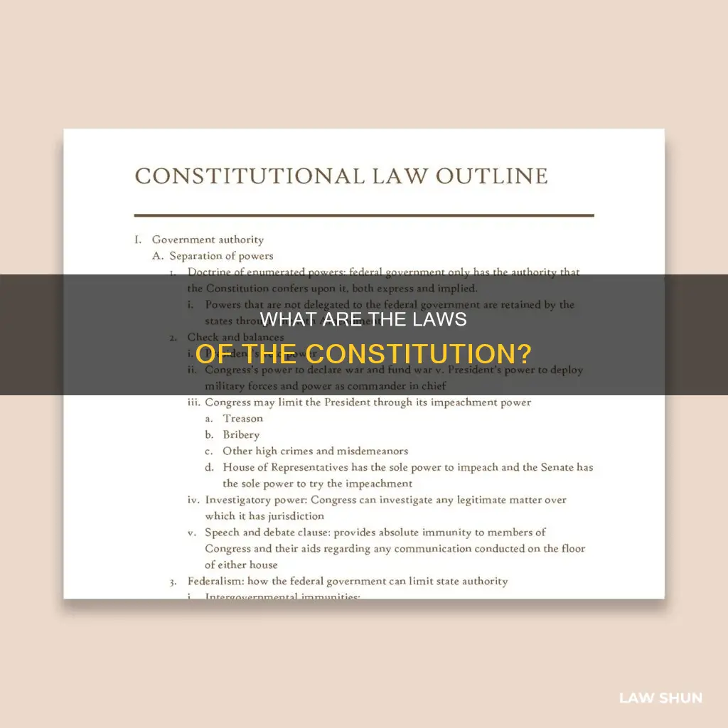 does the constitution have laws
