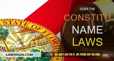 Constitution and Laws: What's the Relationship?