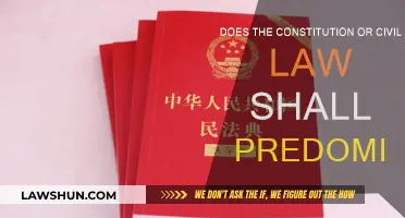 Civil Law vs Constitution: Who Wins?