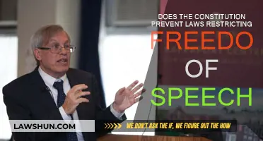 Freedom of Speech: Constitutional Safeguards and Limits