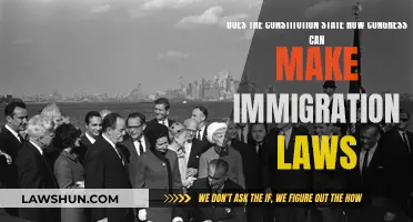 How Congress Crafts Immigration Laws