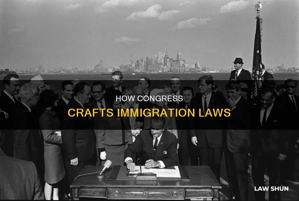 does the constitution state how congress can make immigration laws