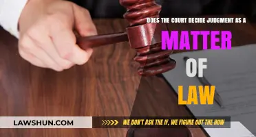Court's Role: Deciding Judgment as a Matter of Law Explained